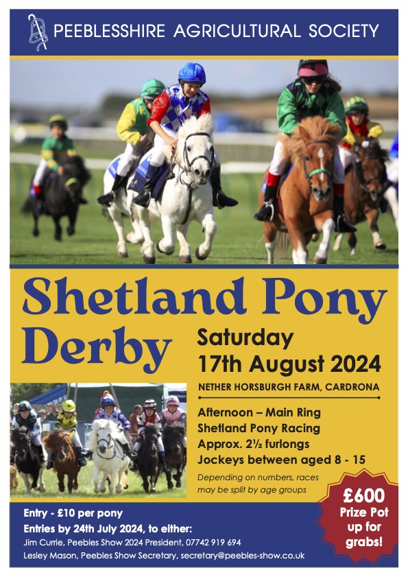 shetland pony derby  -17th august 2024